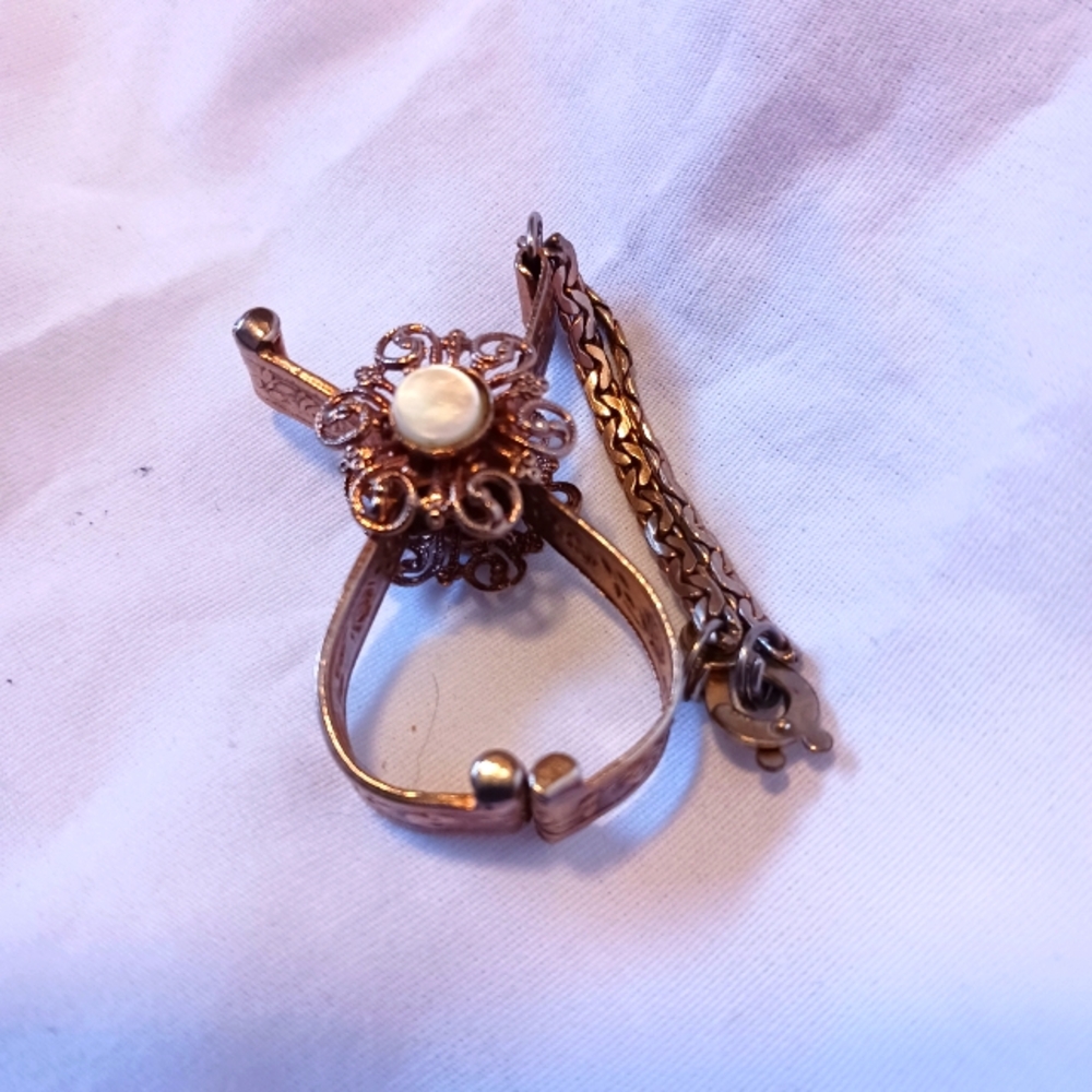 Pocket watch clip